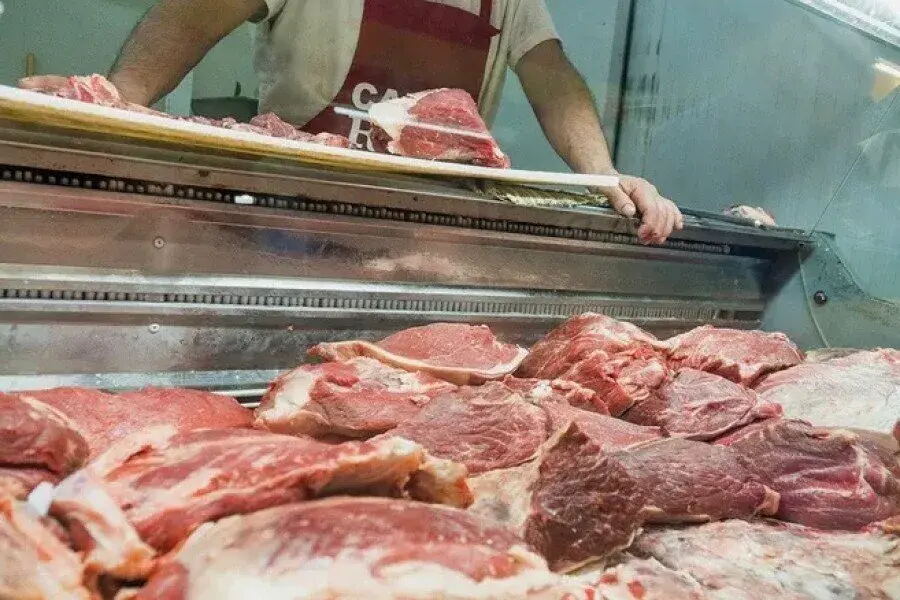 Asalto una carnicería en Altos de San Lorenzo: dispararon al piso y robaron $200.000 y carne - Diario Gran La Plata
