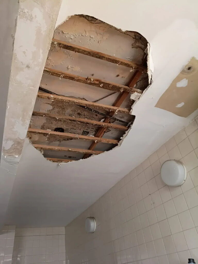 Se desprendió parte del techo del laboratorio del Hospital San Martín de La Plata y debieron cerrar el sector - ...